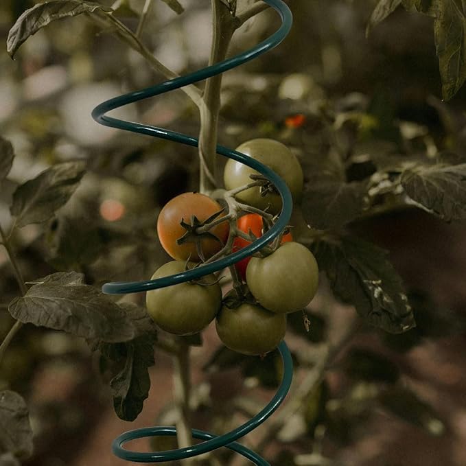 4Pack Spiral Tomato Stakes Plant Trellis ,Indoor Metal Wire Garden Trellis ,Small Climbing Leaf Shape Trellis for Garden Potted Plant