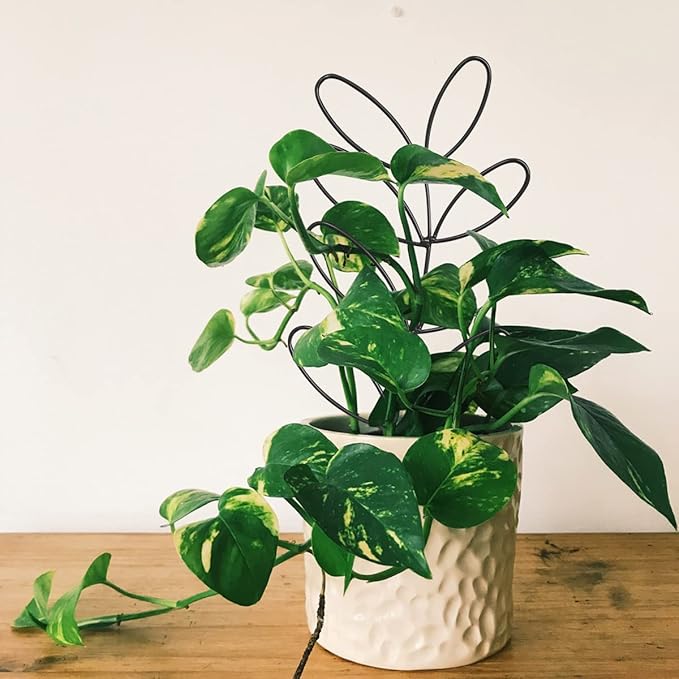 2Pack Indoor Plant Trellis Metal Wire Garden Trellis ,Small Climbing Leaf Shape Trellis for Garden Potted Plant Houseplant(Blackish)