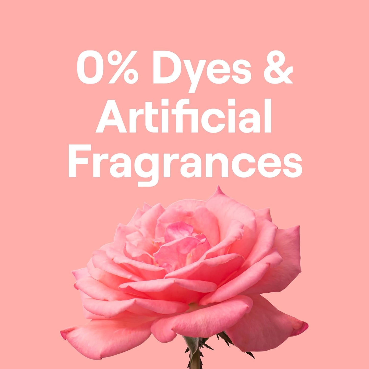 Seventh Generation EasyDose Laundry Detergent Ultra Concentrated Rose Washing Detergent 23 oz, Pack of 2