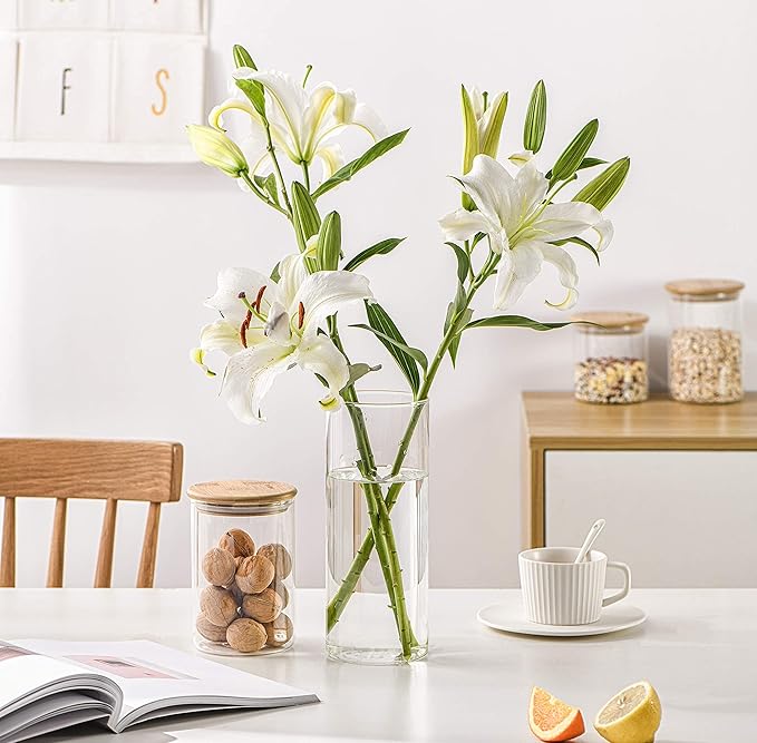 SIXAQUAE Glass Food Storage Containers Jar Seal Bamboo Lids 2 Packs 1200ml Airtight Canister Organization Sets Stackable