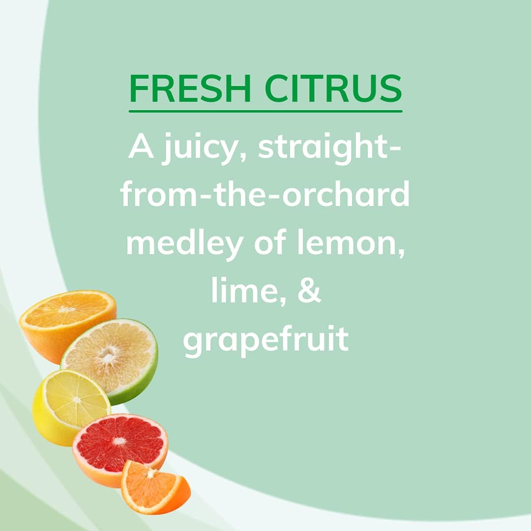 Citrus Magic Odor Absorbing Solid Air Freshener Fresh Citrus, 8-Ounce, Pack of 6, 6 Count