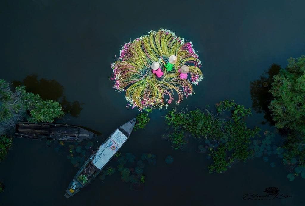 Coco Deluxe Vietnamese Natural Straw Broom /40" Handmade Soft Grass Broom for Indoor & Outdoor/Choi Bong Co Viet NAM Cao Cap (1)