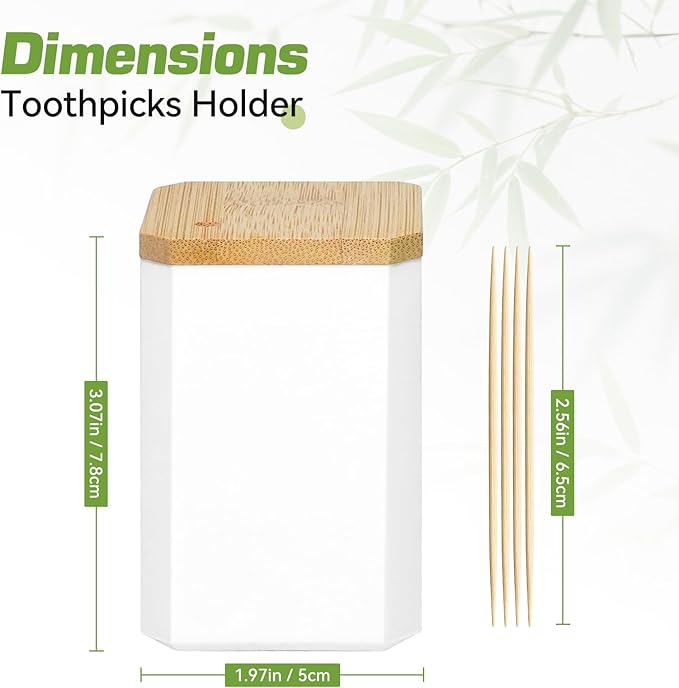 HOPELF Toothpick Holders 2 Pack with 3000 Picks,Round Toothpicks Double-Side Point for Teeth,Food Pick,Appetizers,Cocktails Fruits,Olive&DIY Craft.
