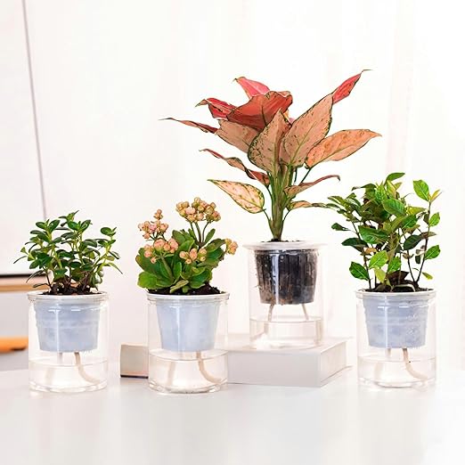 Drip Irrigation System, 33 feet 1/6 inch Self-Watering Planter Pot Automatic Water System Device Potted Violet self Watering Rope-30362