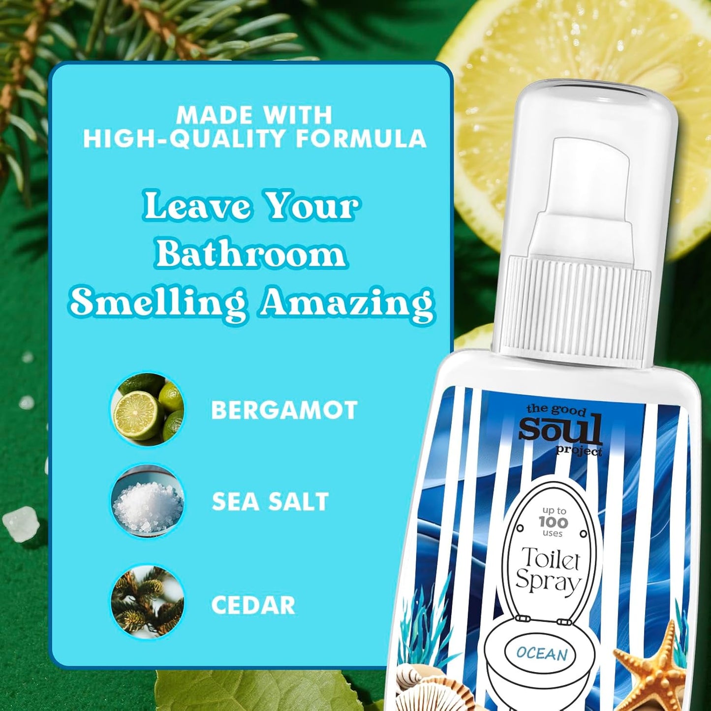 Toilet Spray, Ocean Scent, Eliminates Bathroom & Toilet Odors, Travel Size Air Freshener Spray, 2 Fl.Oz(2 Pack)