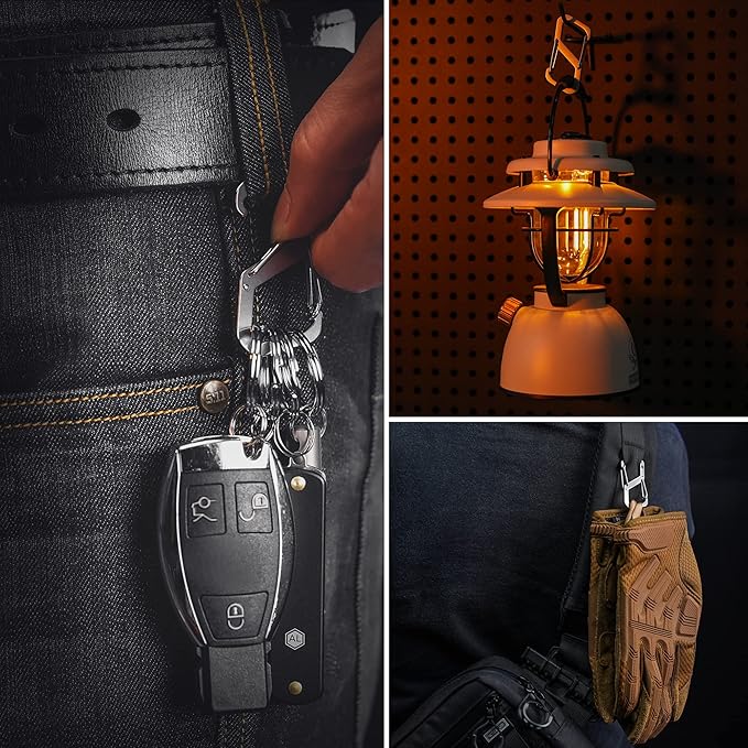 KeyUnity Stainless Steel Carabiner Mini Clips, Key Holder Organizer Keychain for Keys, Flashlight, Folding Knife & Whistles