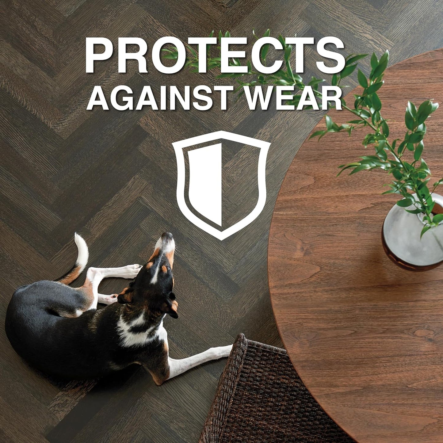 Bona Hardwood Floor Polish - 32 fl oz - Low Gloss Shine - Polish for Wood Floors - Protects and Renews Dull Flooring - Covers 500 sq ft